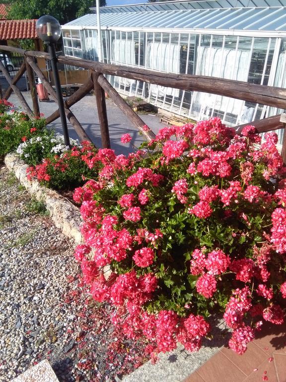 Agriturismo Tendapiccola 세리알레 외부 사진