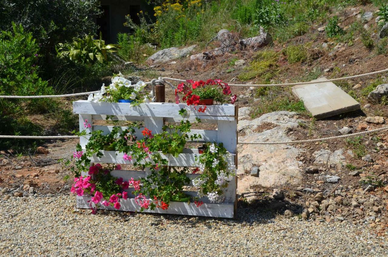 Agriturismo Tendapiccola 세리알레 외부 사진